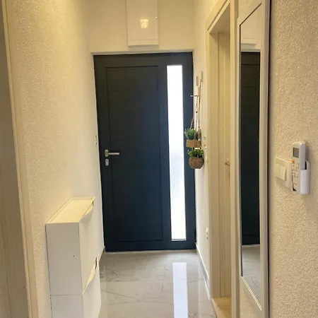 Koko * 罗戈兹尼察